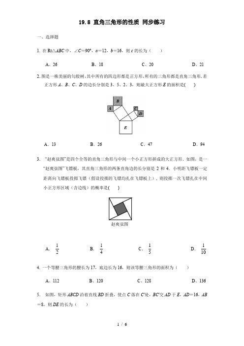 19.8直角三角形的性质-沪教版(上海)八年级数学上册同步练习