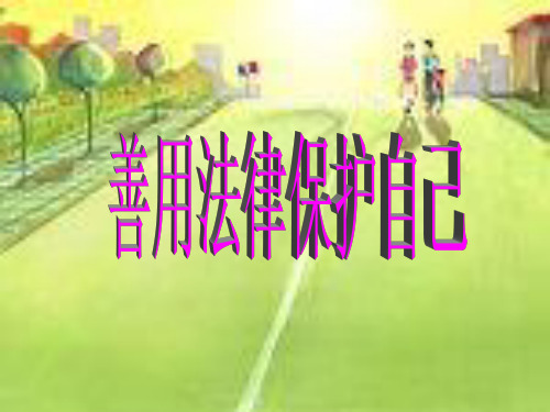 品德与社会六年级下冀教版4.2用法律保护自己课件(30张)