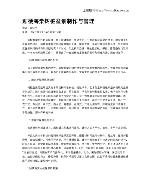 贴梗海棠树桩盆景制作与管理