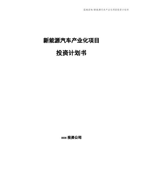 新能源汽车产业化项目投资计划书
