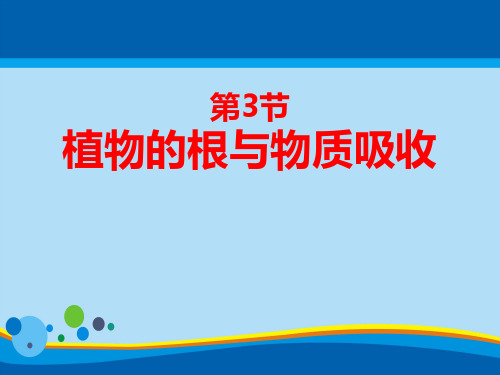 《植物的根与物质吸收》PPT【精选推荐课件】