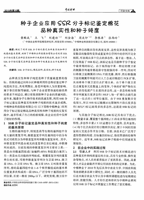 种子企业应用SSR分子标记鉴定棉花品种真实性和种子纯度