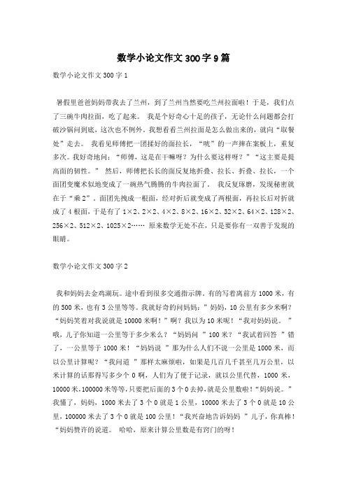 数学小论文作文300字9篇