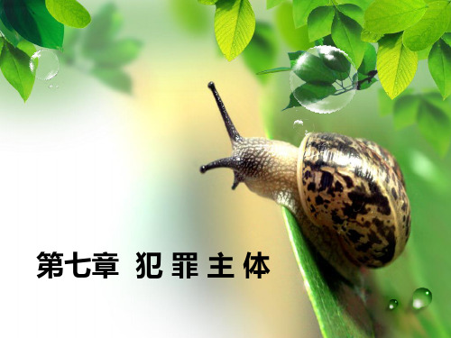 第七章 犯罪主体