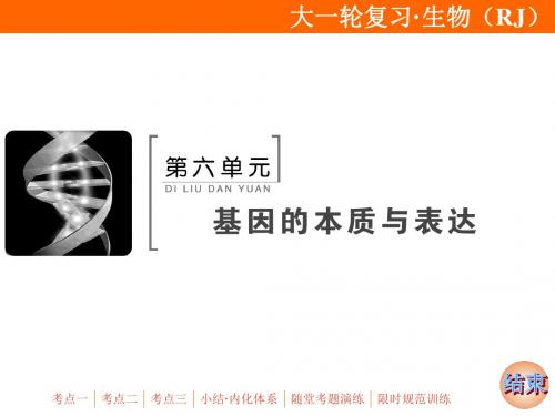 2020届人教版高考生物一轮复习_第六单元 基因的本质与表达 第16讲 DNA是主要的遗传物质