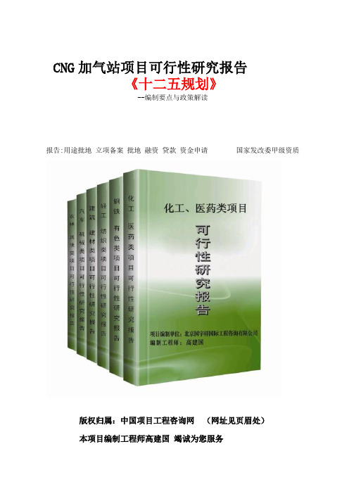 cng加气站项目可行性研究报告(立项格式范文)[管理资料]