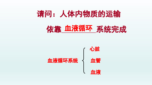 冀少版生物七年级下册：第二单元 第二章 爱护心脏 确保运输  复习课件(共26张PPT)