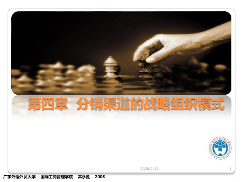 分销渠道的战略组织模式PPT课件