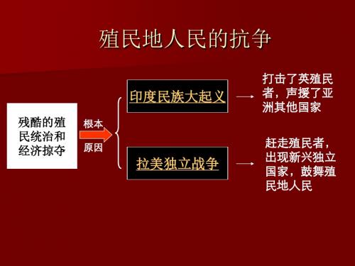 【初中历史】殖民地人民的抗争PPT课件1