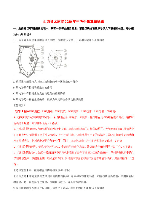 山西省太原市2020年中考生物真题试题(含解析)