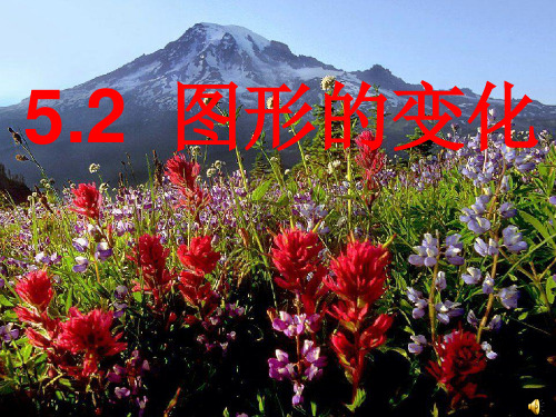 数学52图形的变化(苏科版七年级上)PPT课件