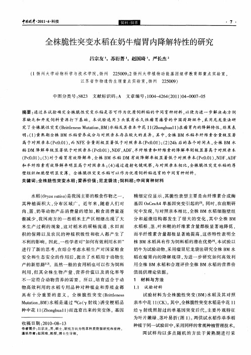 全株脆性突变水稻在奶牛瘤胃内降解特性的研究