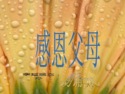 感恩父母朗诵精品PPT课件