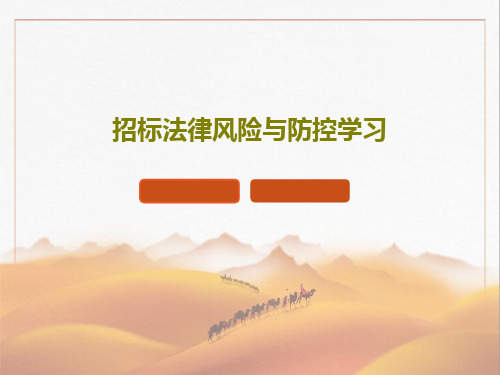 招标法律风险与防控学习49页PPT