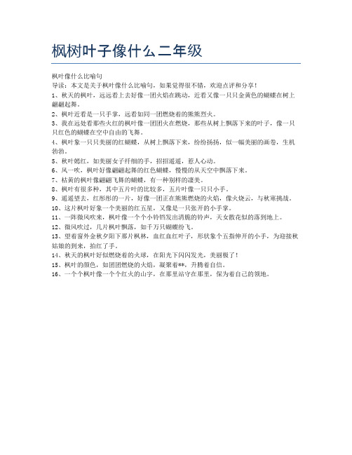 枫树叶子像什么二年级