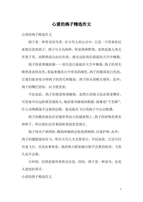 心爱的鸽子精选作文_1