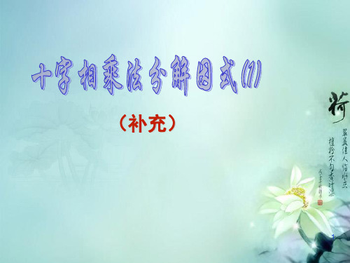 江苏省昆山市兵希中学七年级数学下册 十字相乘法课件(1) 苏科版