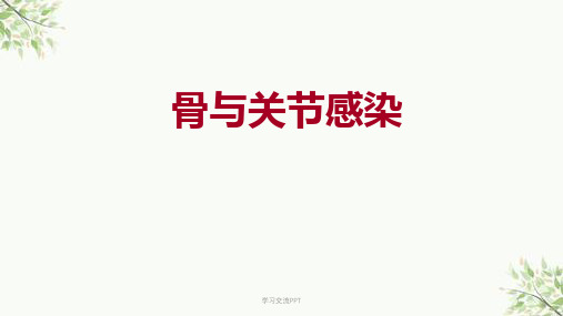 骨科感染结核 课件