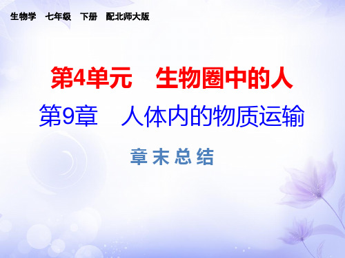 北师大版七年级下册生物第9章  章末总结