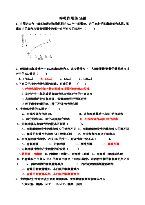 高中生物呼吸作用精选练习题