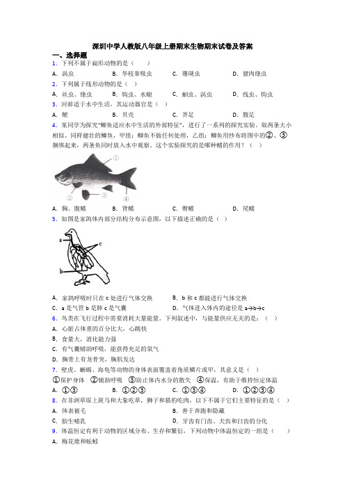 深圳中学人教版八年级上册期末生物期末试卷及答案