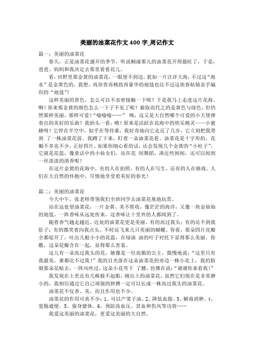 美丽的油菜花作文400字_周记作文