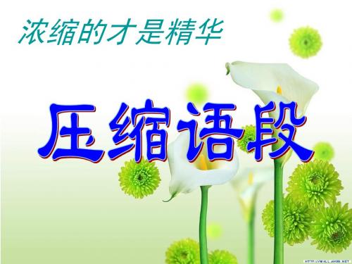 (最新)压缩语段