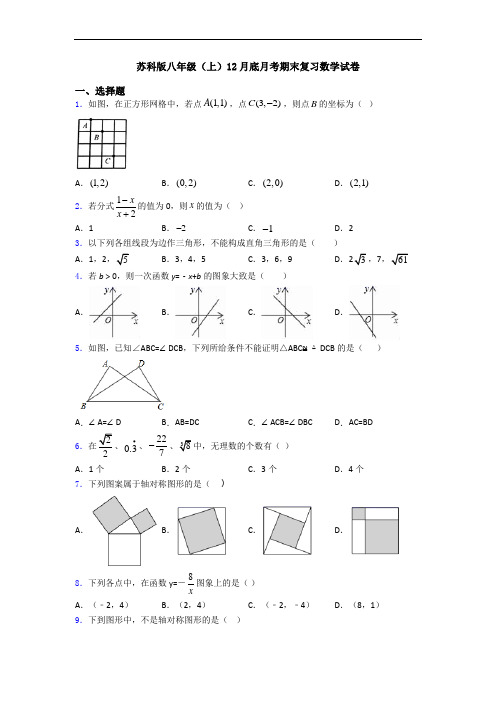 苏科版八年级(上)12月底月考期末复习数学试卷
