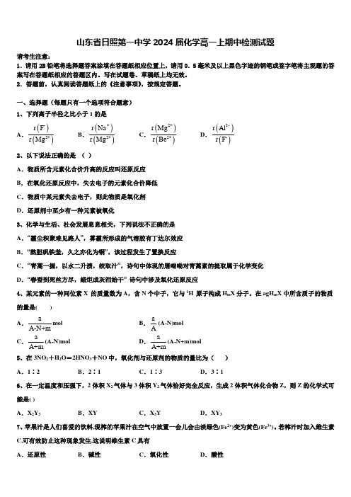 山东省日照第一中学2024届化学高一上期中检测试题含解析