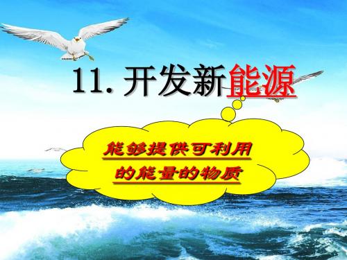 青岛版六年级科学下册11开发新能源