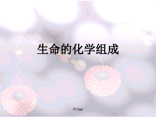 《生命的化学组成》PPT课件