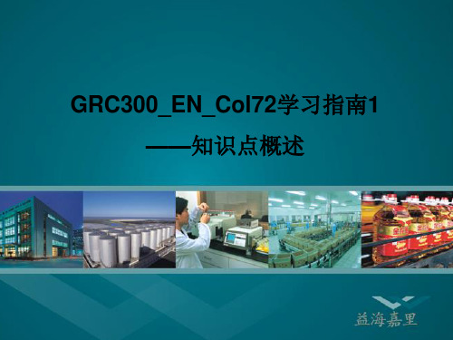 SAP GRC学习指南