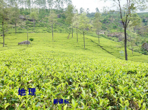 中考地理复习方案 第十七章 青藏地区课件 