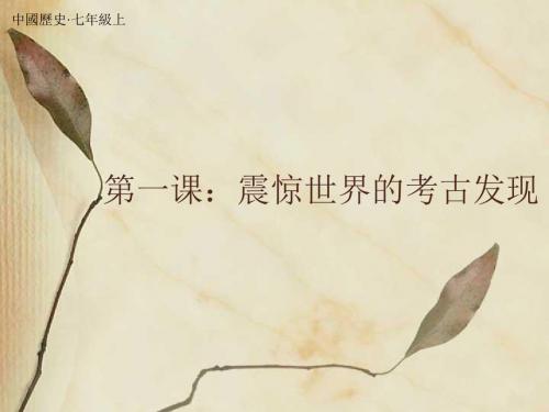 震惊世界的考古发现PPT课件5 川教版