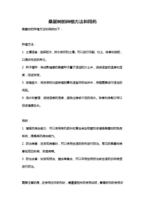 桑葚树的种植方法和用药