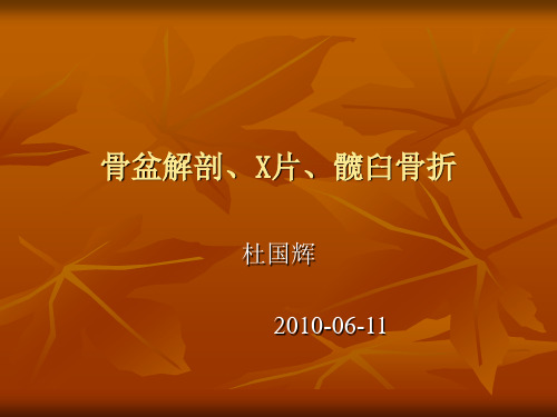 骨盆解剖及X片