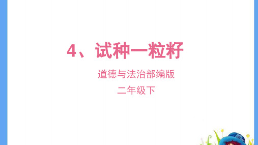 人教部编版二年级道德与法治下册《4：试种一粒籽》精品课件