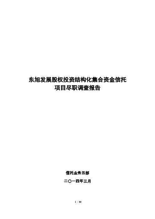 01-东旭投资尽调报告-营销版