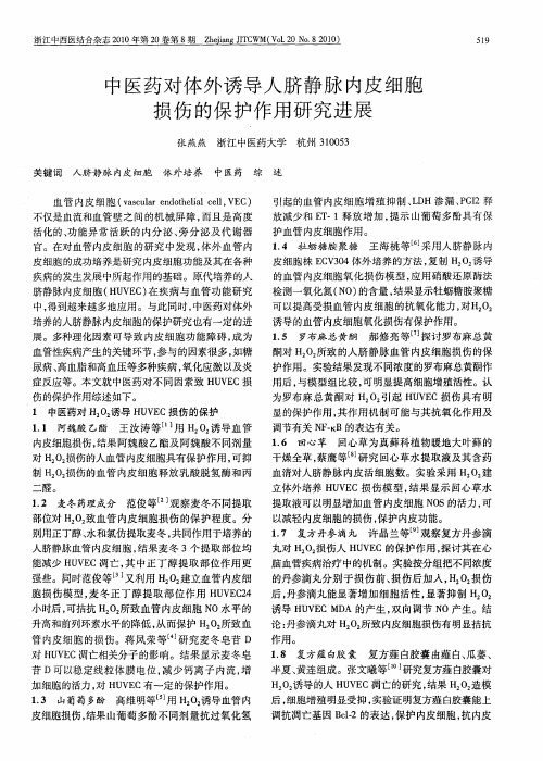 中医药对体外诱导人脐静脉内皮细胞损伤的保护作用研究进展