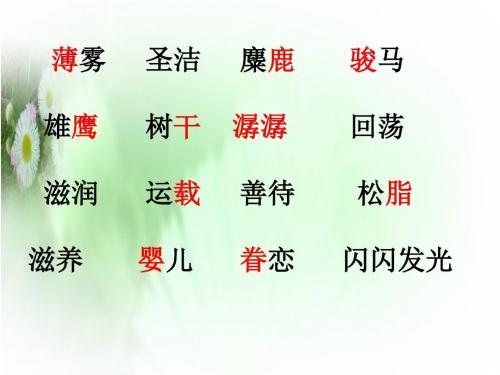 《这片土地是神圣的》教学PPT课件(统编教材·部编新人教版小学语文六年级上册)