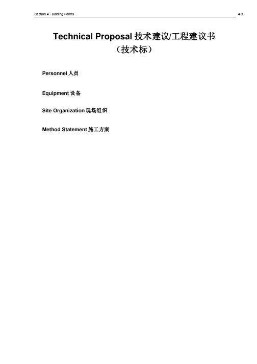 TechnicalProposalRequirements技术建议-工程建议书（技术标书）