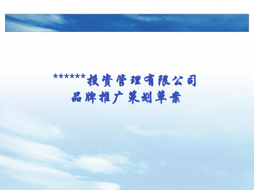某投资管理有限公司品牌推广策划方案ppt