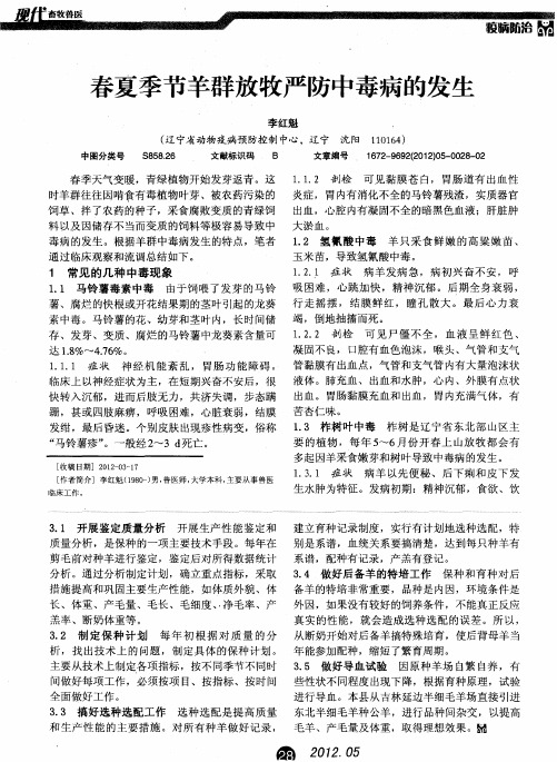 春夏季节羊群放牧严防中毒病的发生