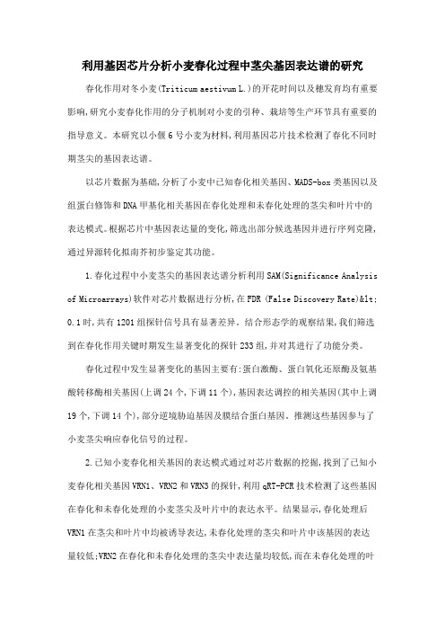 利用基因芯片分析小麦春化过程中茎尖基因表达谱的研究