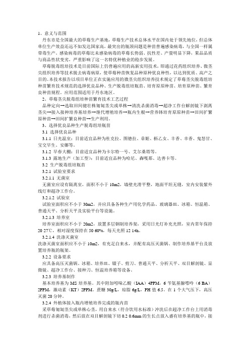 草莓脱毒苗