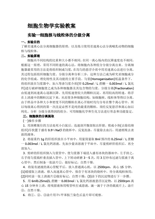 细胞实验教案1.