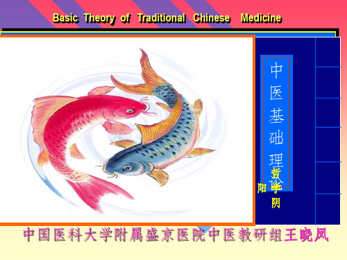 阴阳学说完整ppt课件