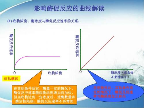 【三维设计】2016届高三生物一轮复习资料：4.影响酶促反应的曲线解读