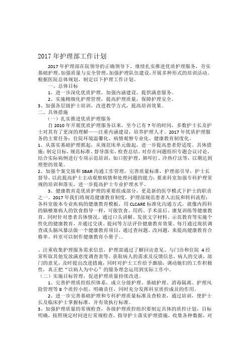 2017年护理部计划
