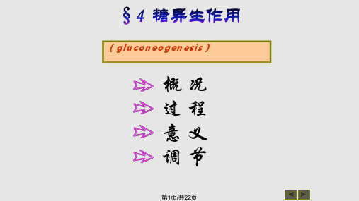 糖的异生PPT课件